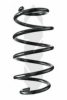 SPIDAN 86949 Coil Spring